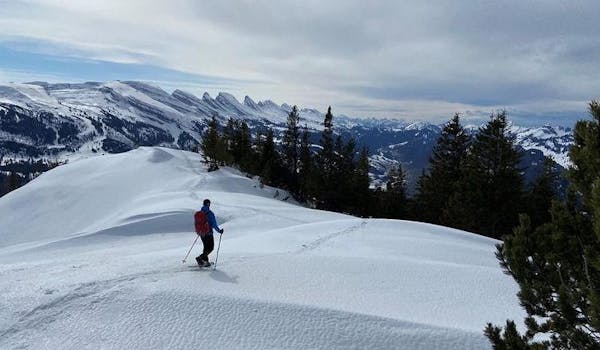 Schneeschuhtour Gulmen Schnee Spur Wanderer