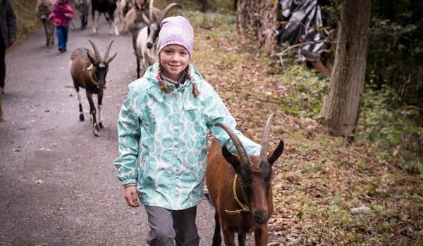 Goat hike child goat