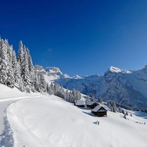 Brunni sledging train ticket incl. day rental airboard or skigibel