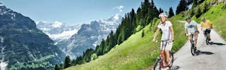 Grindelwald-Première excursion d'une journée à Lucerne
