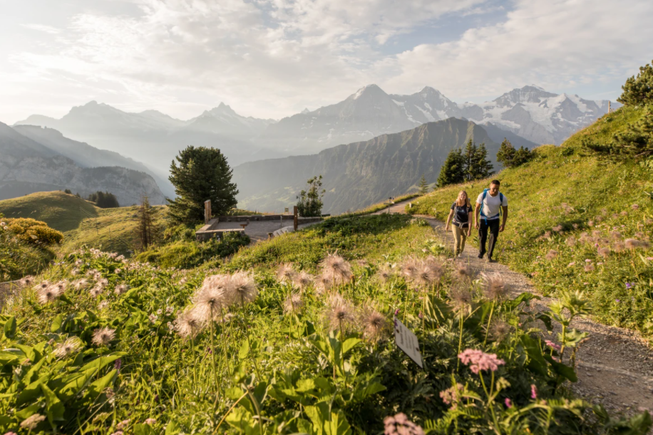 Senderismo en Schynige Platte con vistas a la montaña y senderistas en el camino