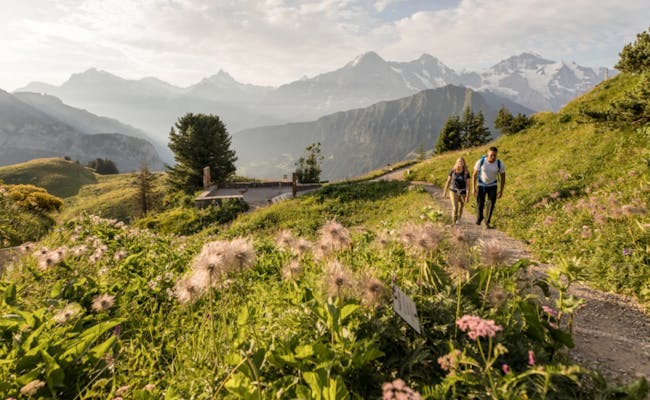 Wandern Natur (Foto: Jungfraubahnen)