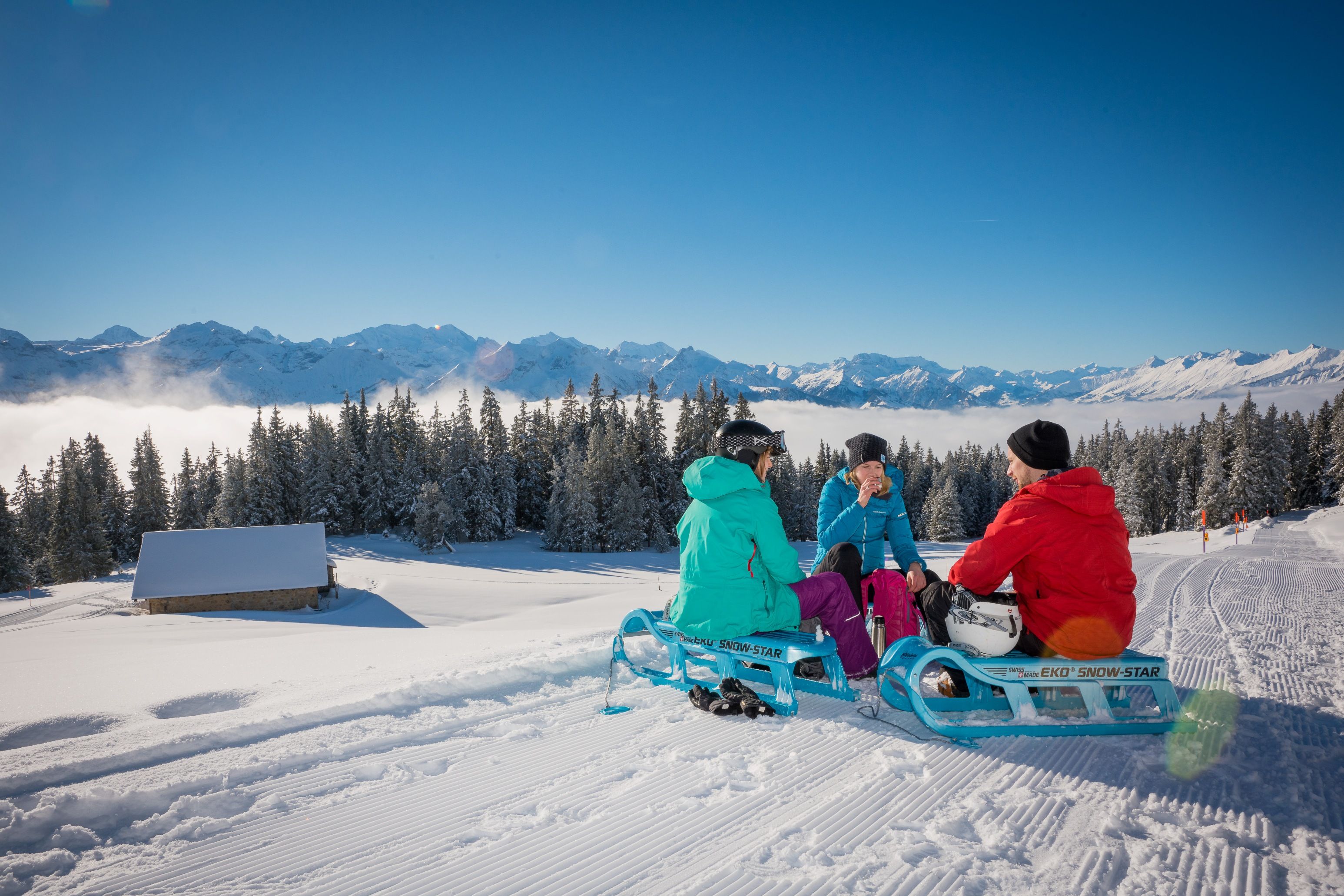 霧に包まれた山々でのニーダーホルンそり滑り