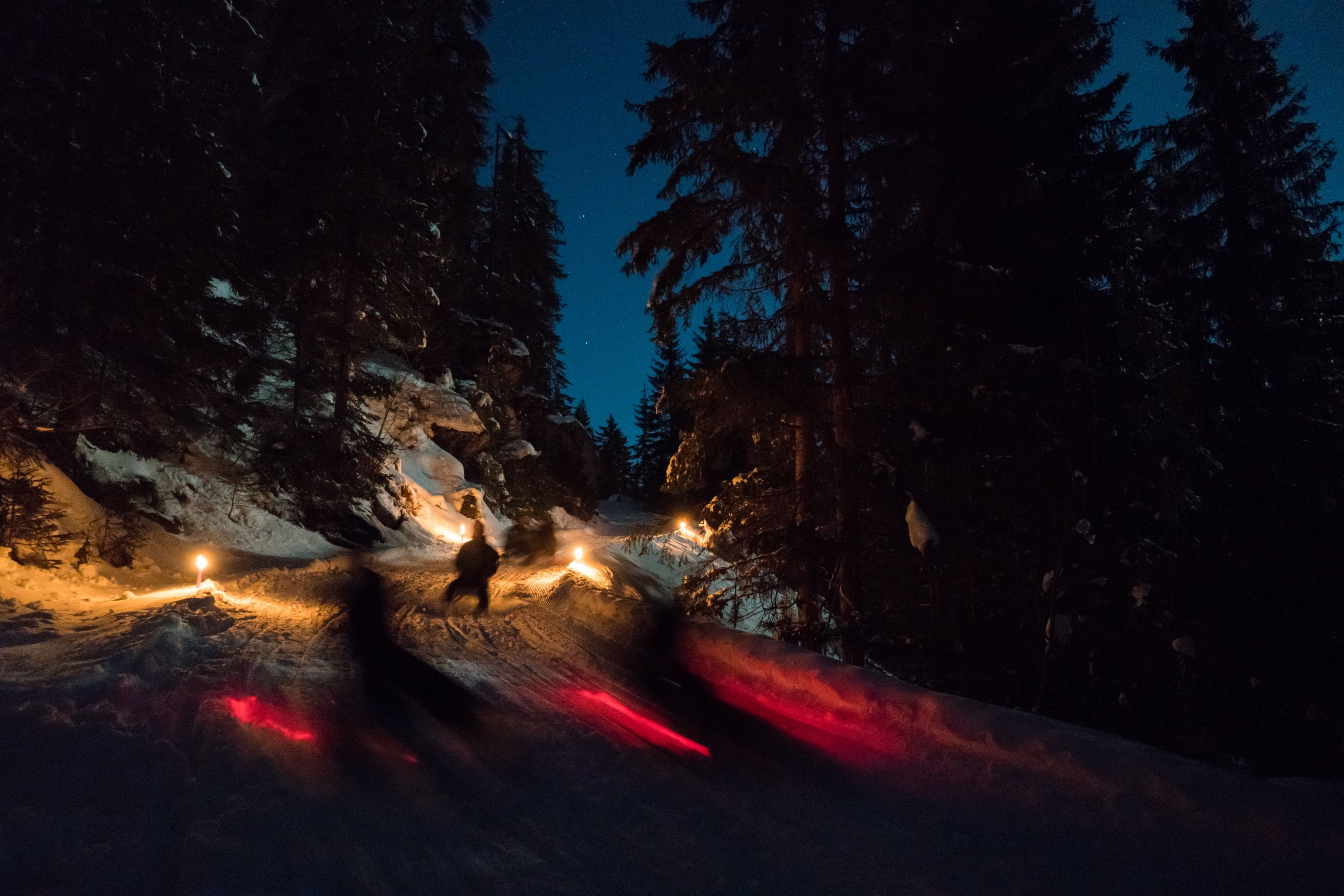 Tobogganing nocturno en Suiza: deslizándose en trineo sobre la nieve, rodeado de luces y árboles.