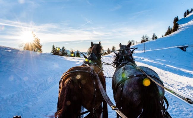 Horse-drawn sleigh (Photo: Rigi Bahnen)