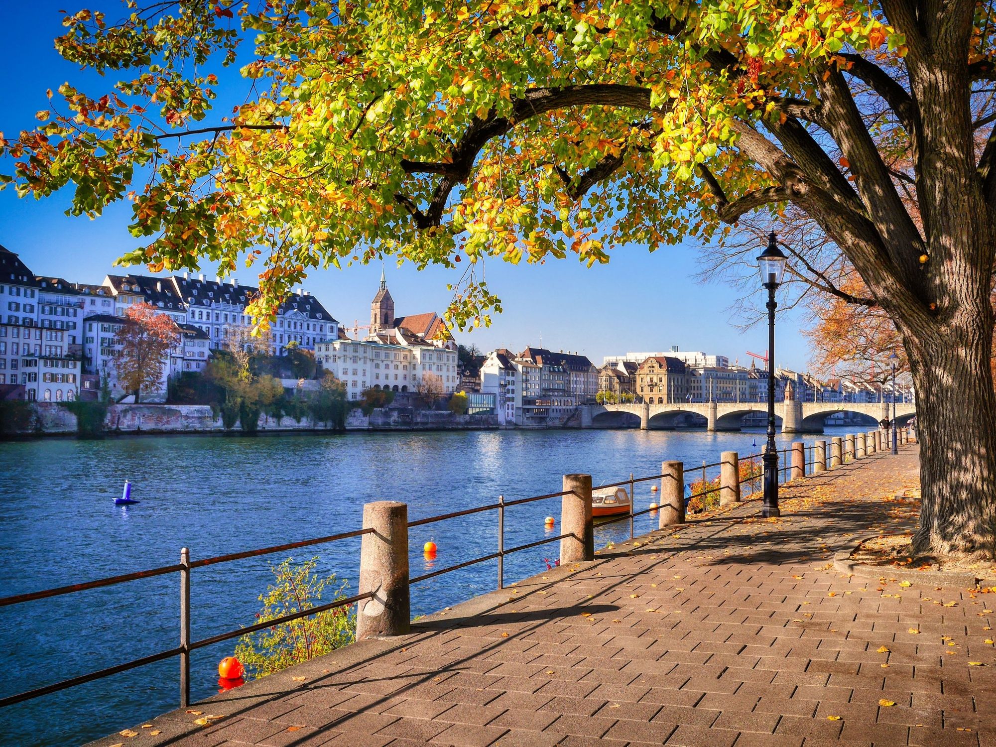 바젤의 가을 산책로, 화려한 단풍과 편안한 분위기의 라인강.