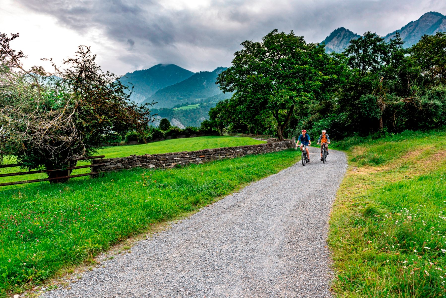 Radfahren Rheintal: Radfahrer auf Schotterweg in Grünlandschaft.