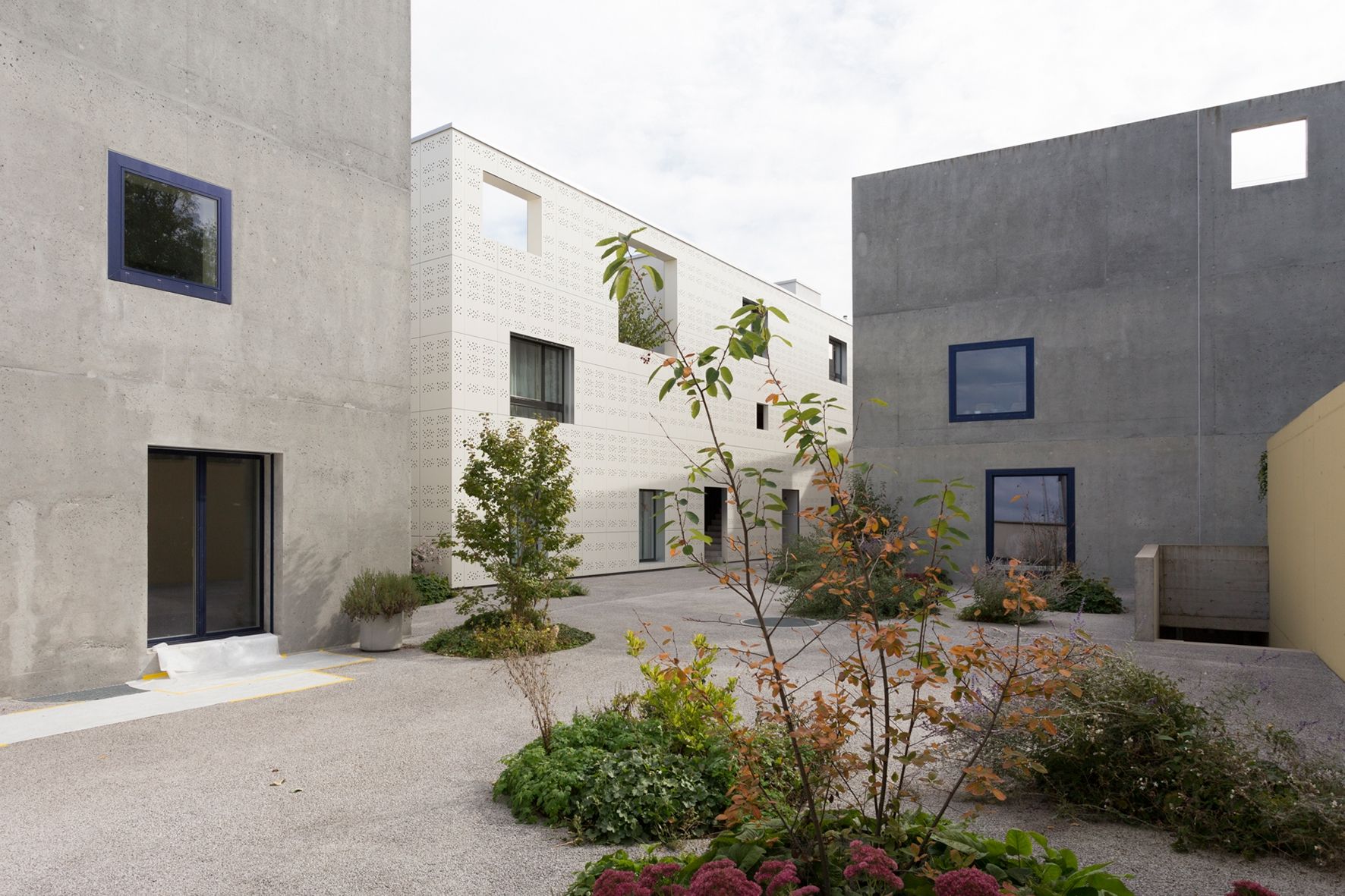 Rheinfelden Stadtführung mit Wakkerpreis, moderne Architektur und Pflanzen