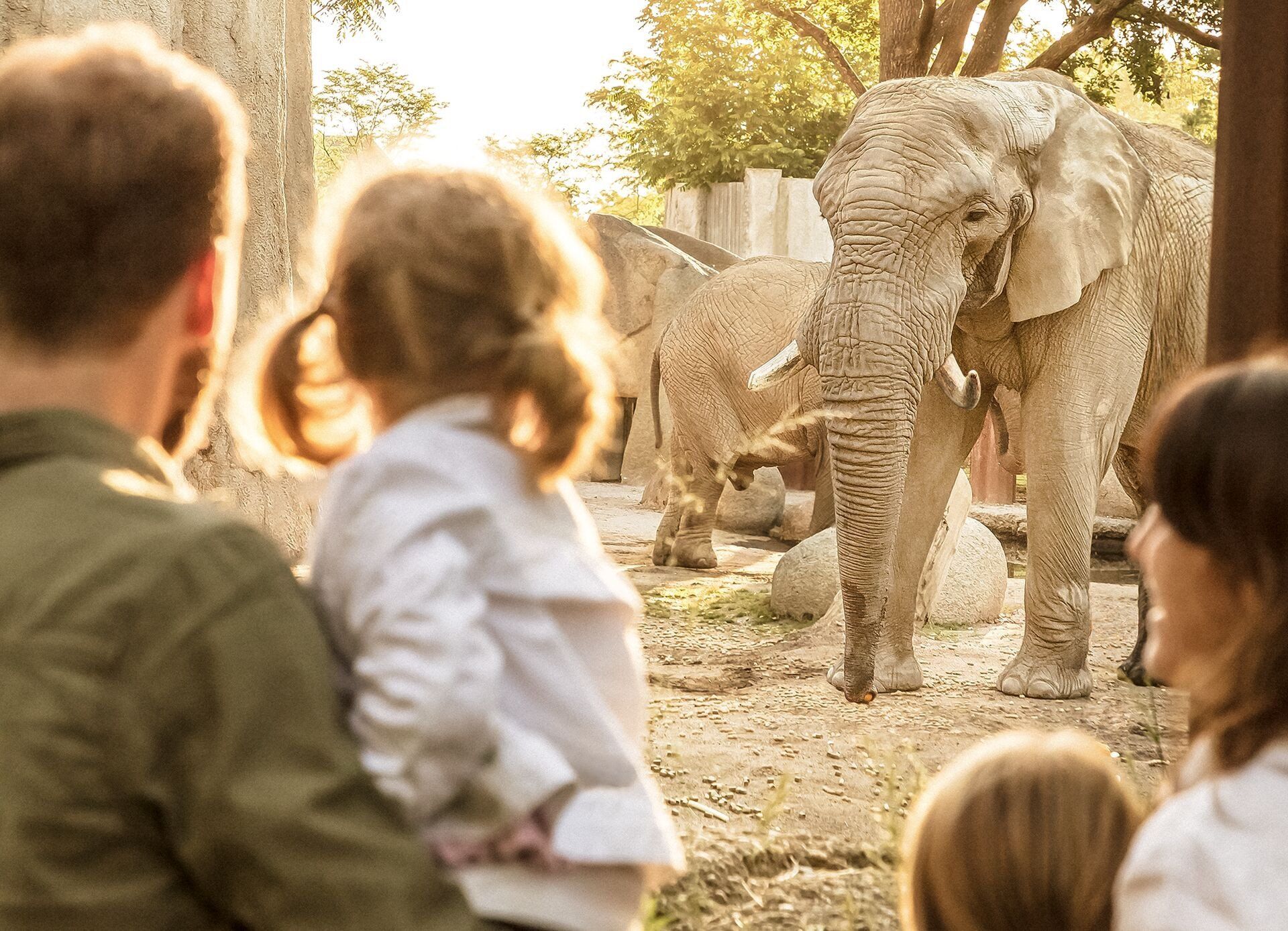 बासेल चिड़ियाघर की यात्रा हाथी और परिवार के साथ