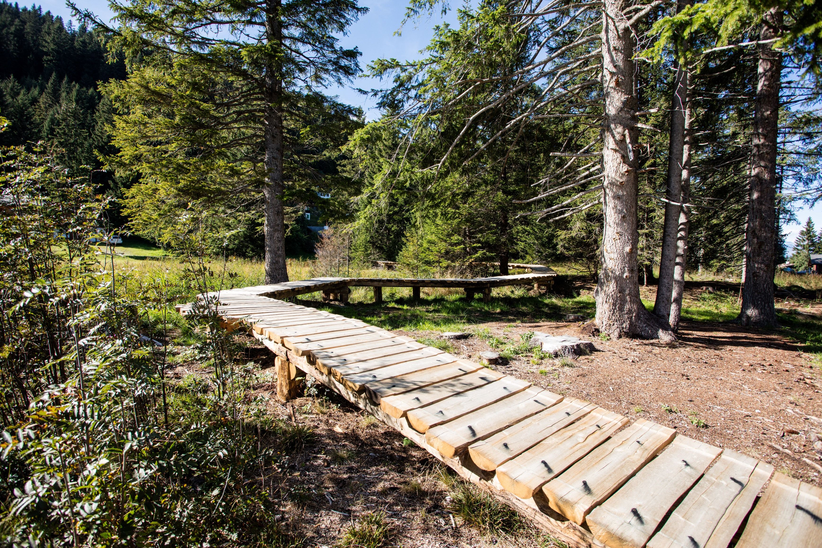 Πολύωρο μονοπάτι με ξύλινες πλατφόρμες στη φύση, περικυκλωμένο από δέντρα.