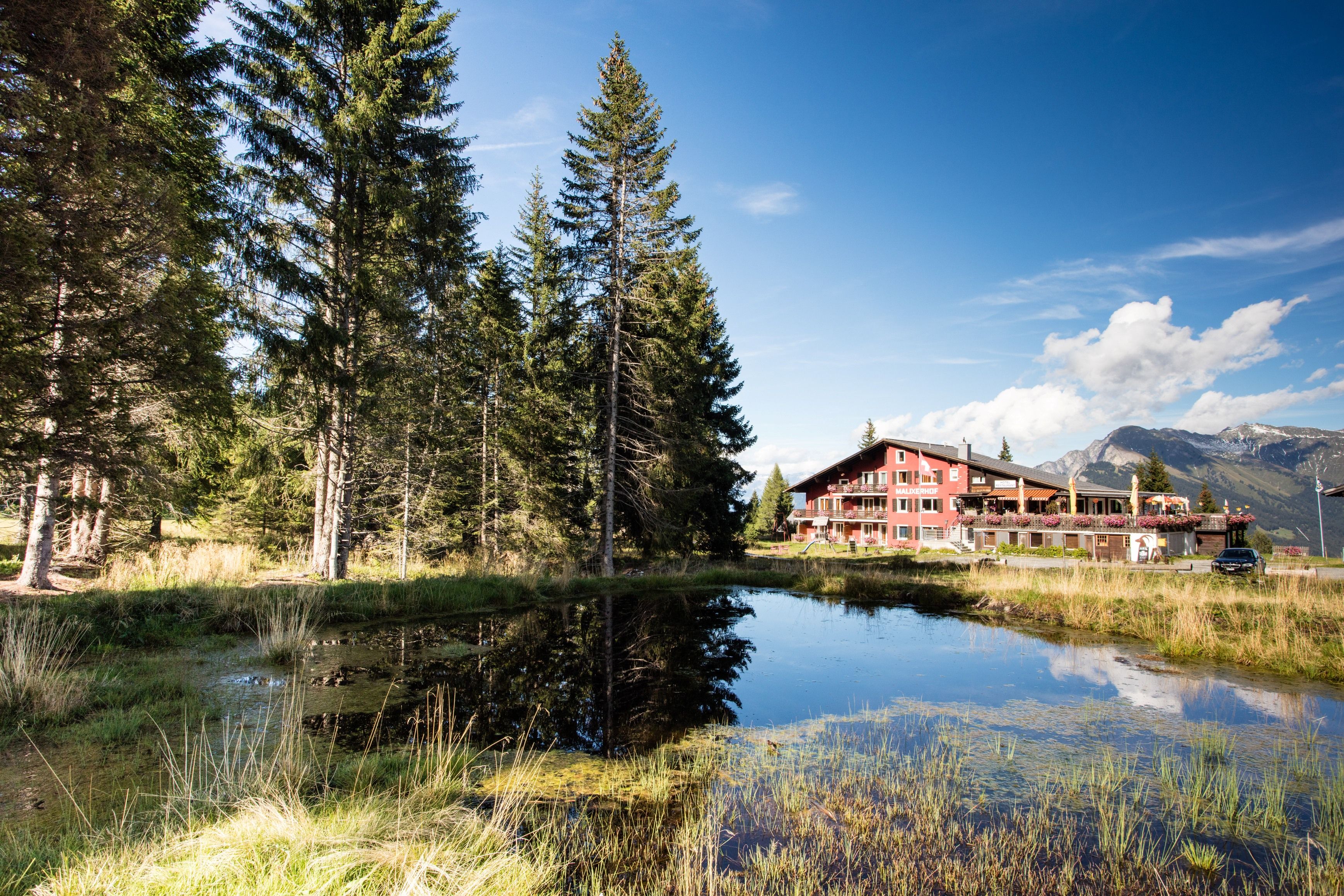 Μορα Παρκούρ με επιφάνεια νερού και δέντρα στην Μπράμμπρουζ