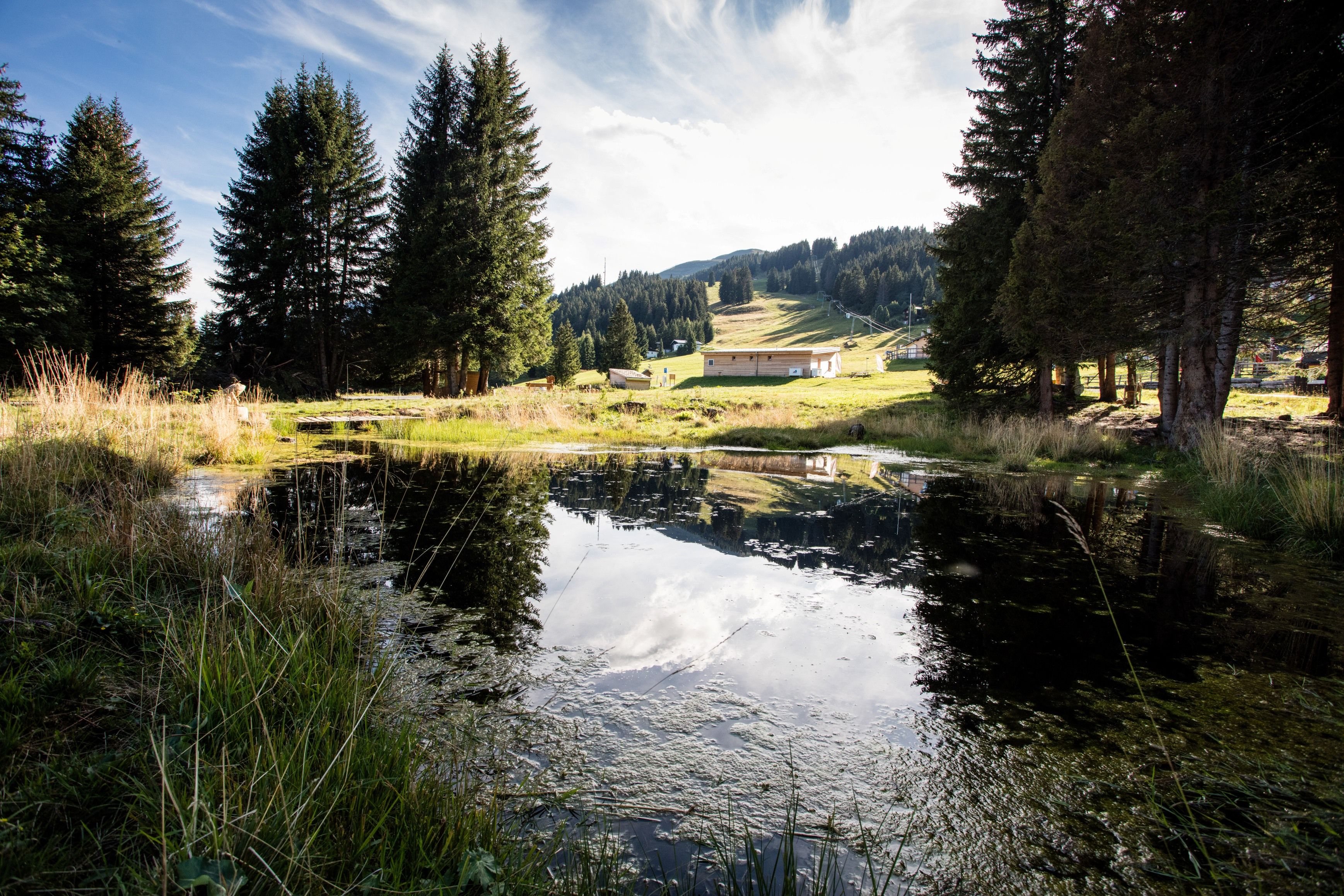 Μοαρκ Παρκούρ με ήρεκη φυσική λίμνη, περικυκλωμένη από δέντρα και λιβάδια.