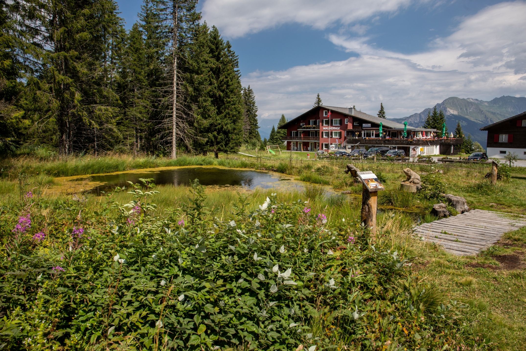 Κατάφυτο μονοπάτι με λίμνη και λουλούδια το καλοκαίρι