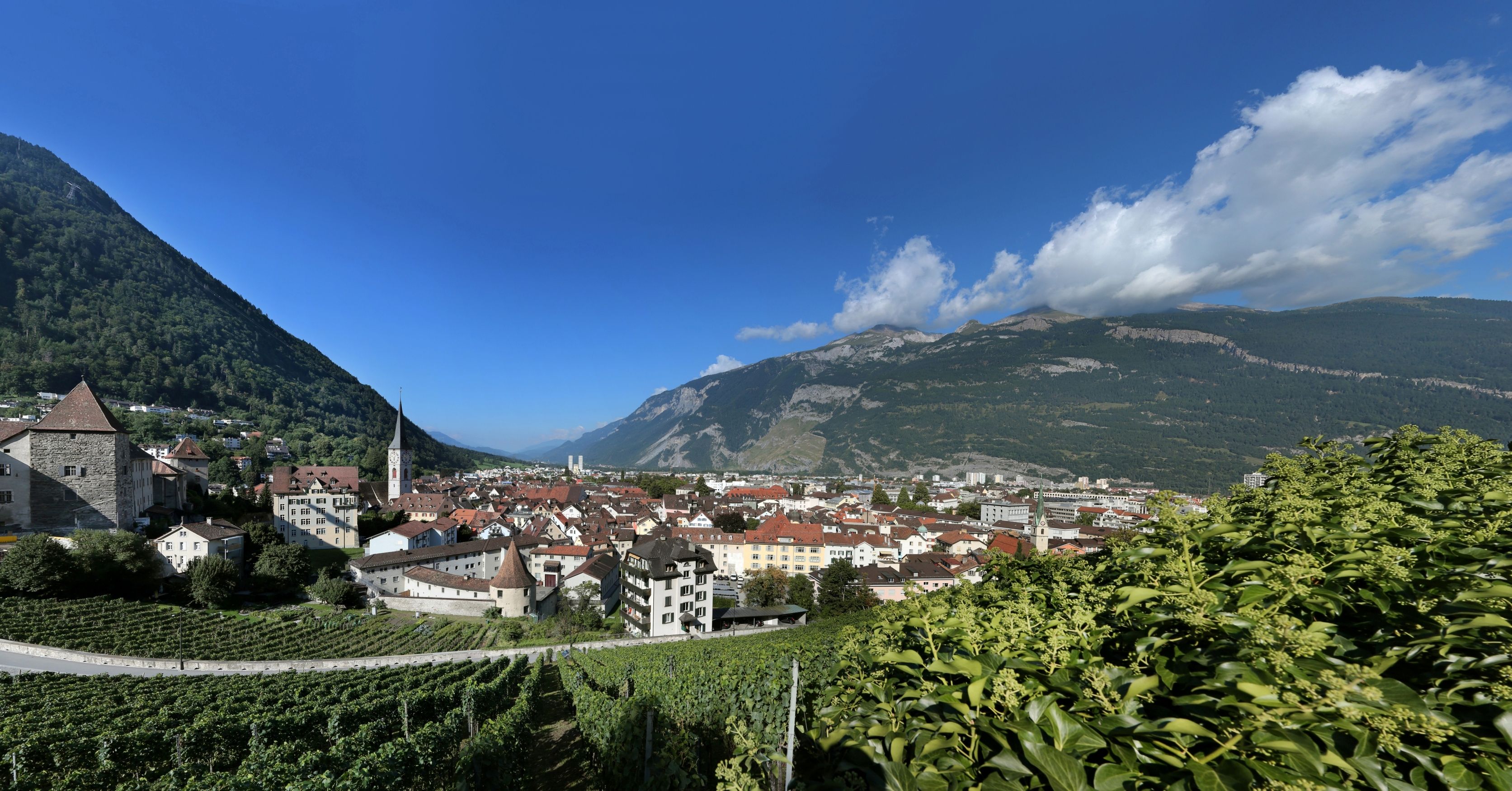 Stadtpanorama in Suedtirol im Sommer, mit Weinbergen und Bergen im Hintergrund.