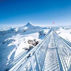 Les Diableretes Glacier 3000 Ticket Retour depuis le Col du Pillon