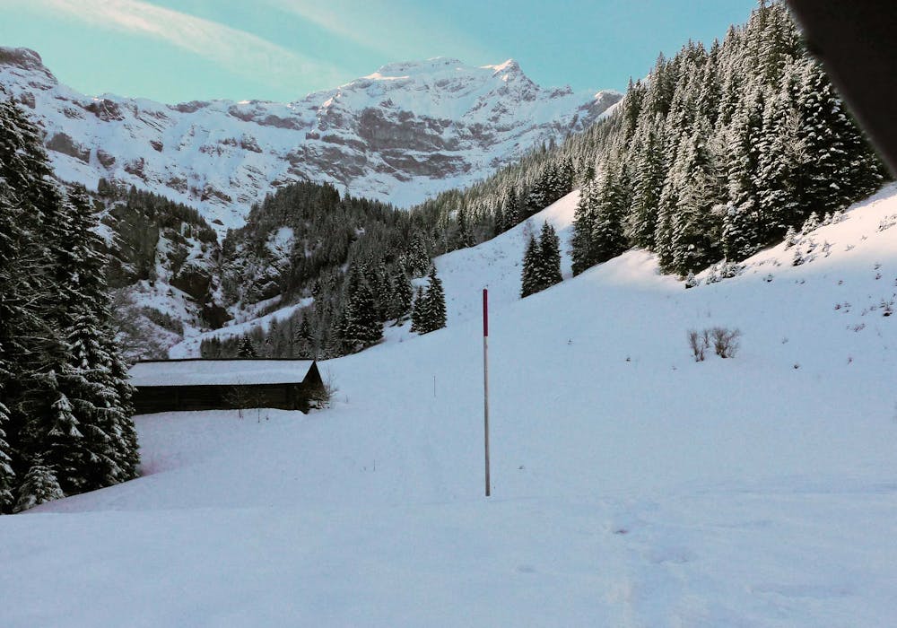 Saxeten snowshoeing (Photo: Switzerland Tourism)