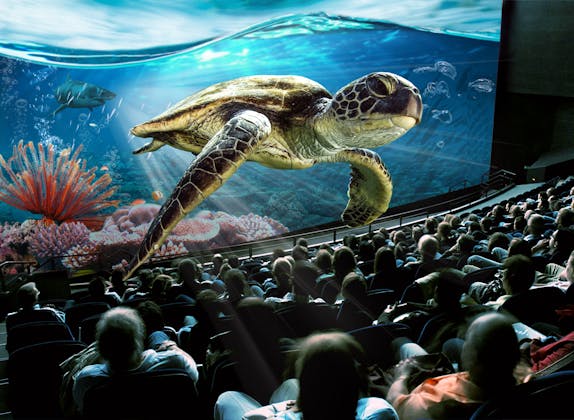 Tortuga marina nada a través de un acuario 3D con peces y corales vibrantes