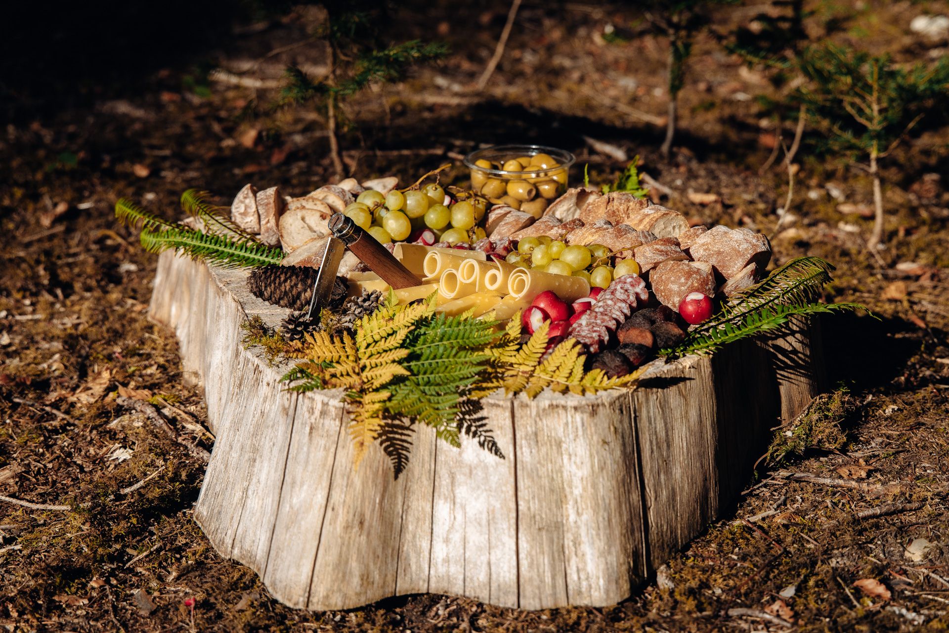 Dapur api: Piknik menyenangkan dengan buah segar, roti, dan alam. Sempurna untuk kegiatan berkelompok di luar ruangan.