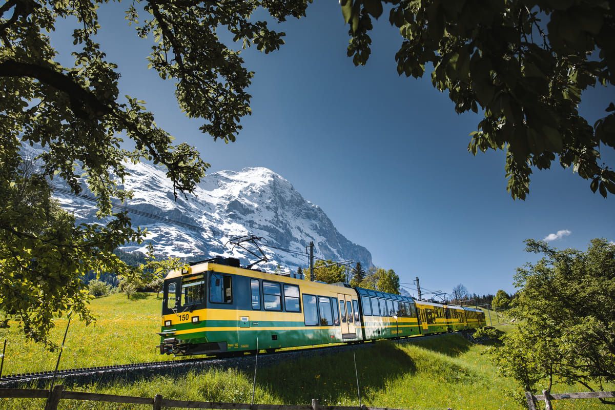 Kleine Scheidegg: Wengernalpbahn mit Blick auf den Eiger in der Natur des Sommer.