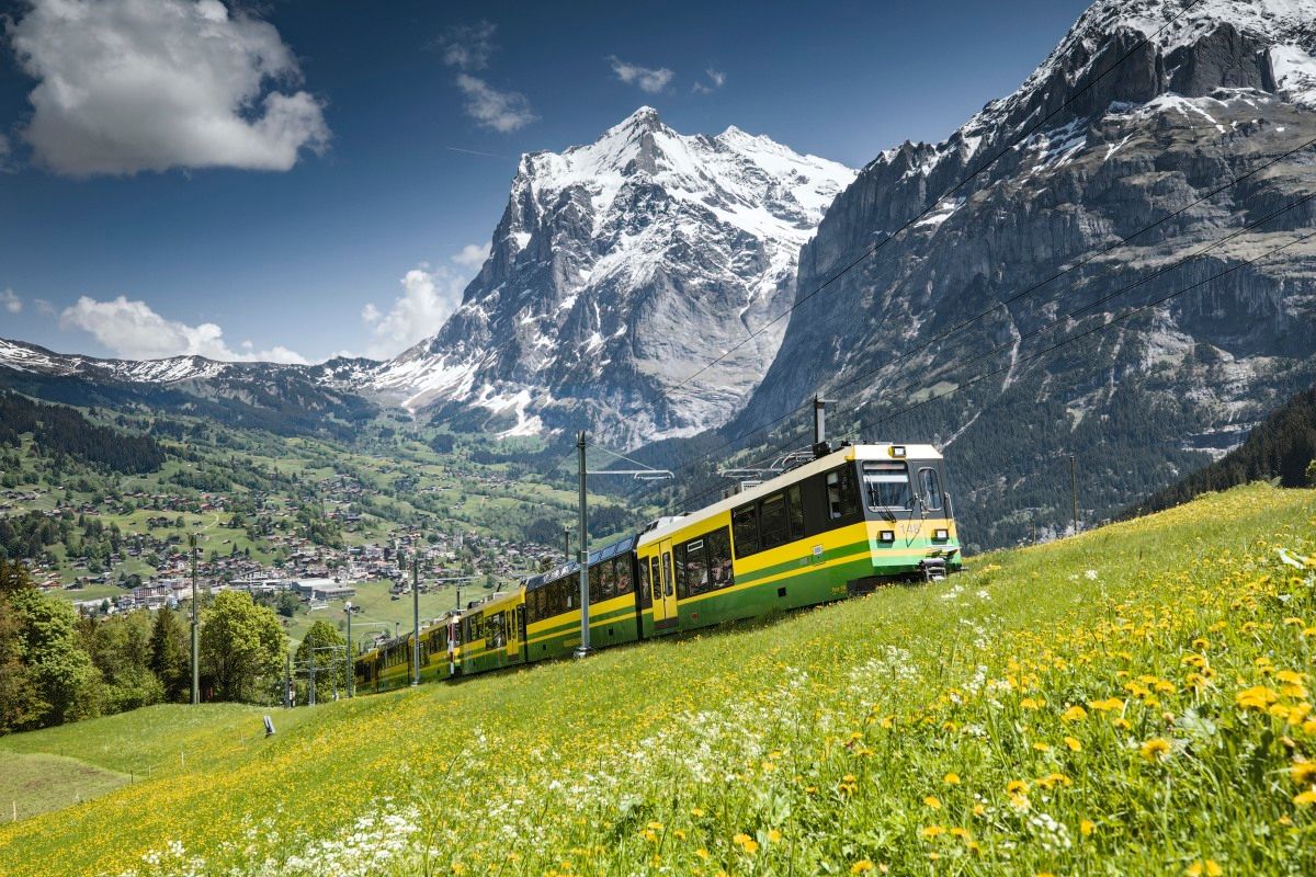 Wengernalp Railway with a view of the Wetterhorn in Grindelwald during the summer season.