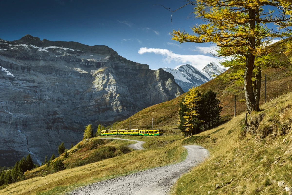 Wengernalpbahn: Vivi il paesaggio mozzafiato delle montagne e la natura affascinante in autunno.
