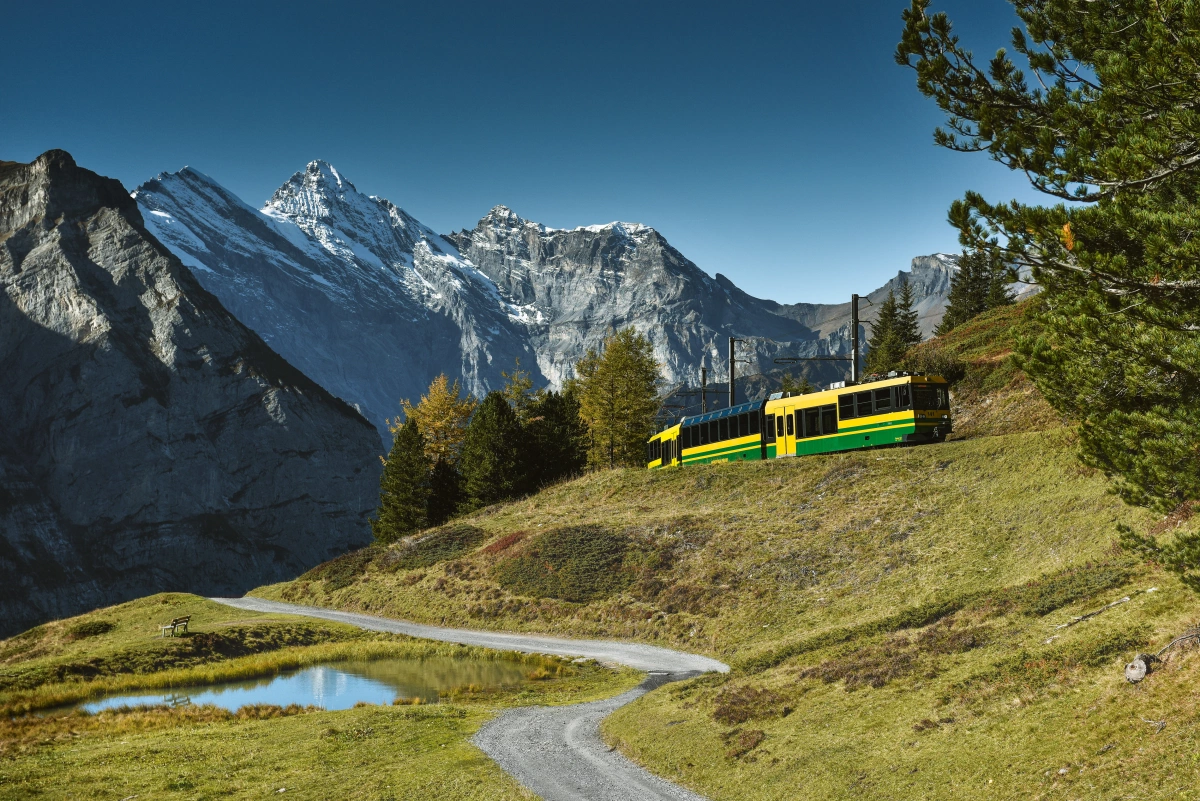 Wengernalpbahn: Paesaggio con montagne, estate, vista mozzafiato sulla natura