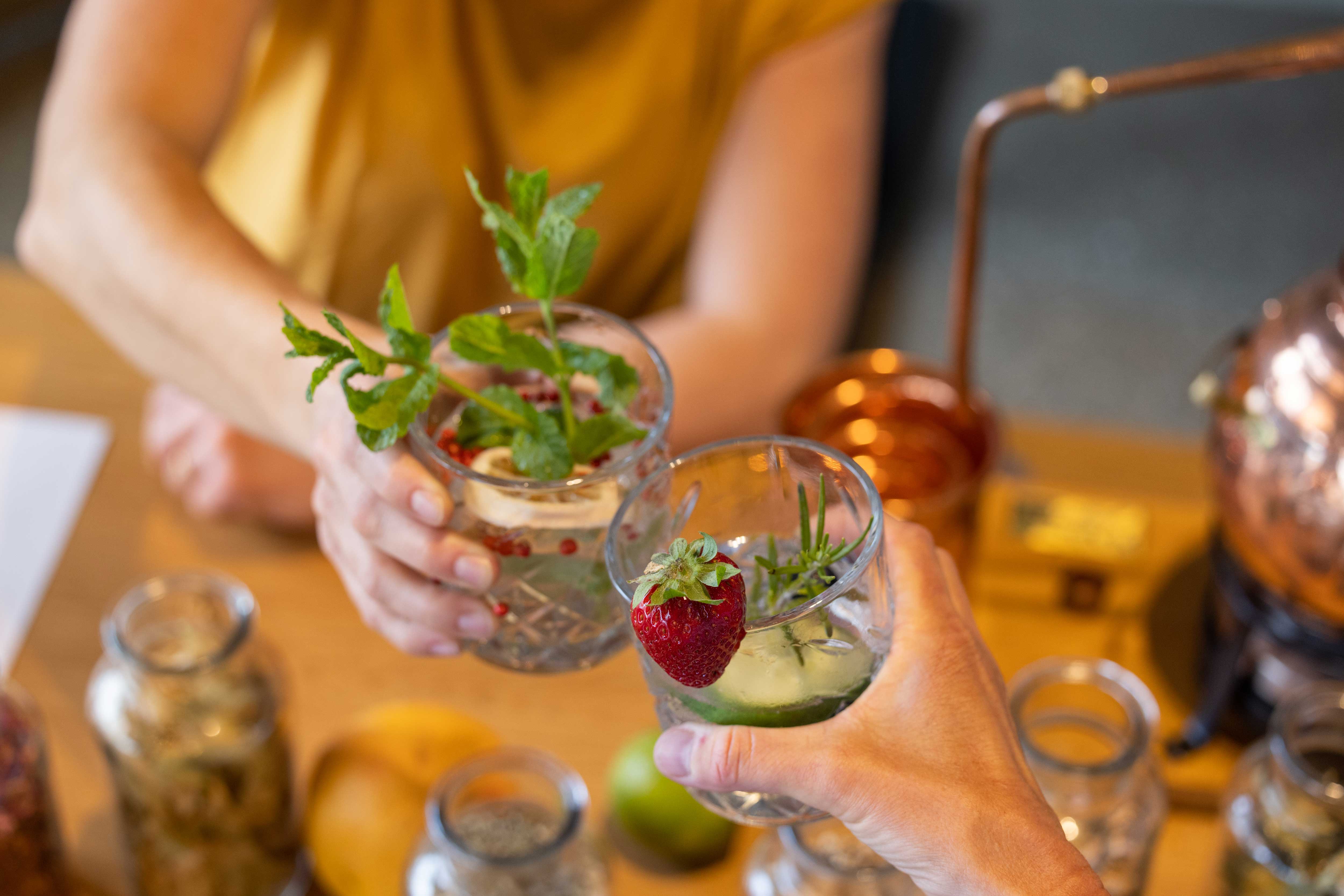 Taller de Gin con refrescantes cócteles y ingredientes frescos en Berlín