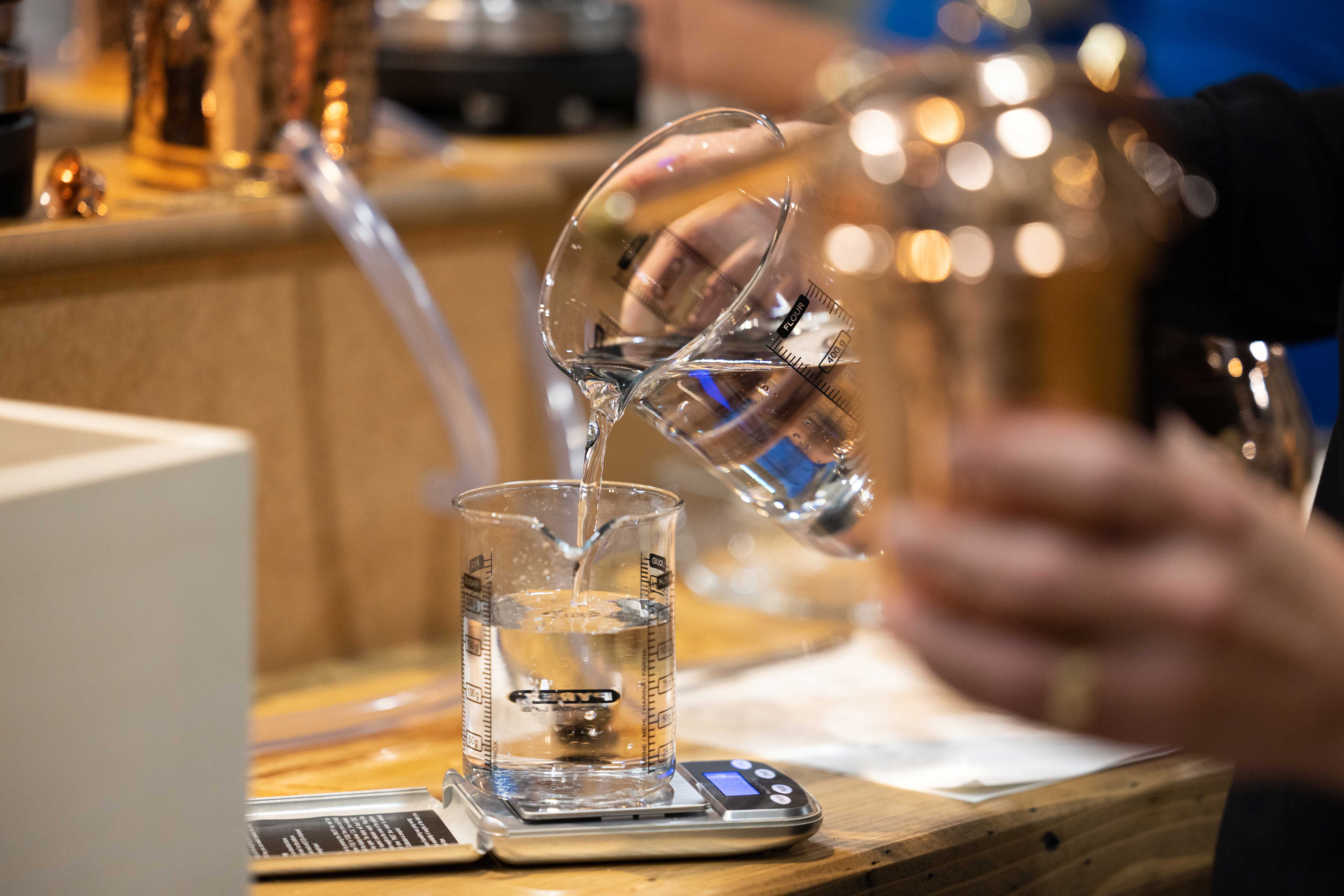 Taller de Gin: emocionante elaboración de gin, recetas creativas y experiencias culinarias